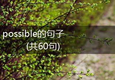 possible的句子(共60句)