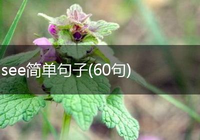 see简单句子(60句)