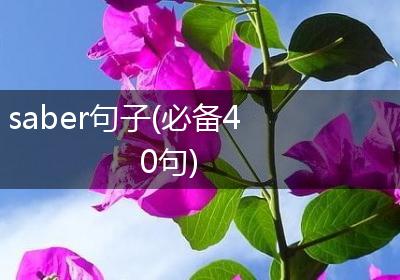 saber句子(必备40句)
