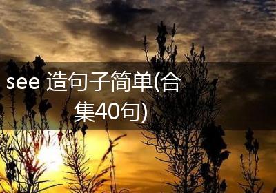 see 造句子简单(合集40句)
