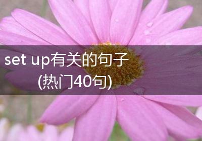 set up有关的句子(热门40句)