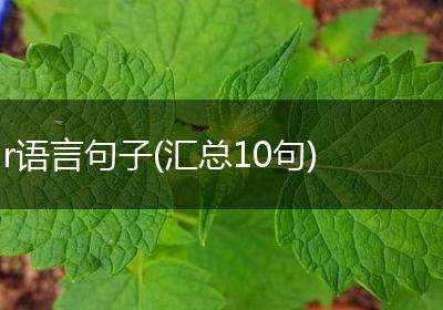 r语言句子(汇总10句)