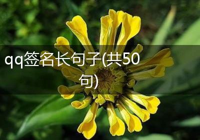 qq签名长句子(共50句)