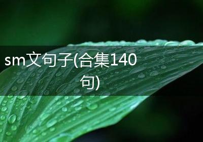 sm文句子(合集140句)