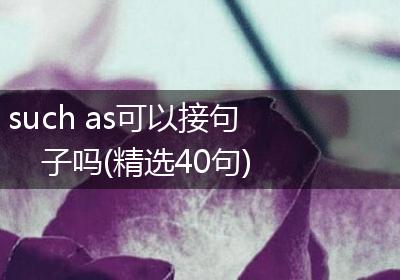 such as可以接句子吗(精选40句)