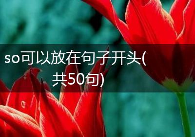 so可以放在句子开头(共50句)