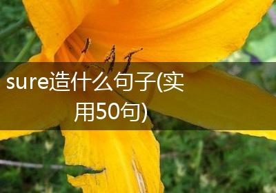 sure造什么句子(实用50句)