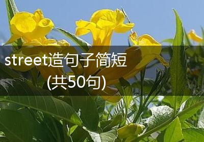 street造句子简短(共50句)