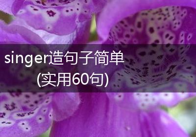 singer造句子简单(实用60句)