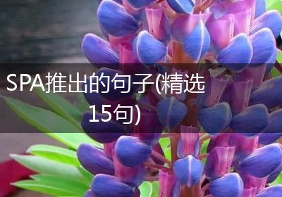 SPA推出的句子(精选15句)