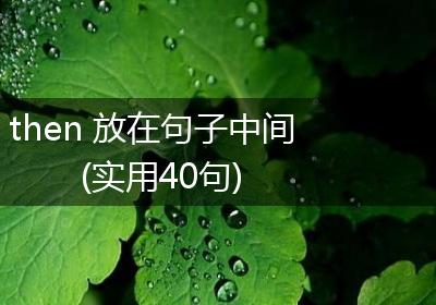 then 放在句子中间(实用40句)