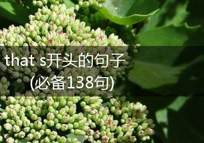 that s开头的句子(必备138句)