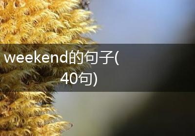 weekend的句子(40句)