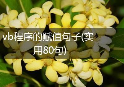 vb程序的赋值句子(实用80句)