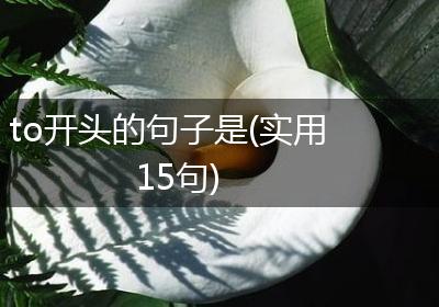 to开头的句子是(实用15句)