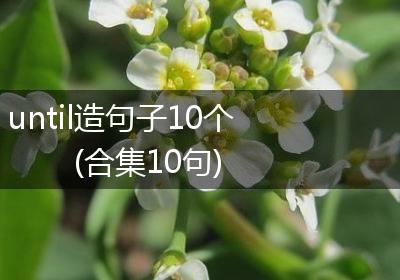 until造句子10个(合集10句)