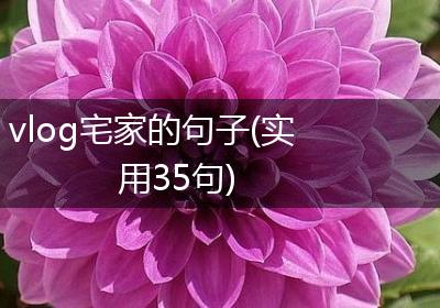 vlog宅家的句子(实用35句)