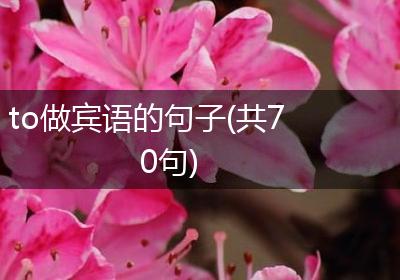 to做宾语的句子(共70句)