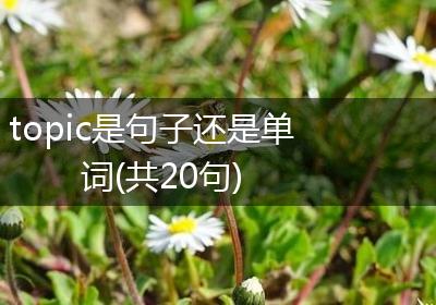 topic是句子还是单词(共20句)