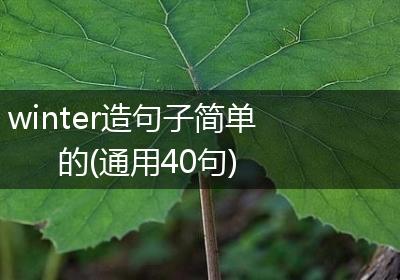 winter造句子简单的(通用40句)