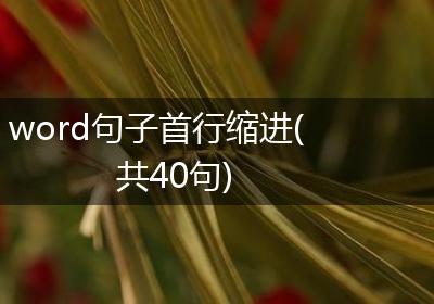 word句子首行缩进(共40句)