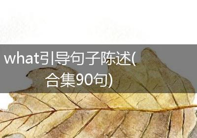 what引导句子陈述(合集90句)