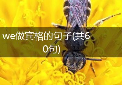 we做宾格的句子(共60句)