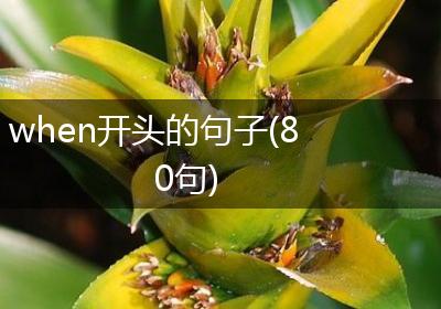 when开头的句子(80句)