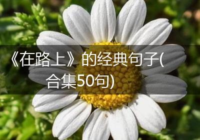 《在路上》的经典句子(合集50句)