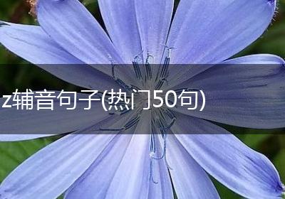 z辅音句子(热门50句)