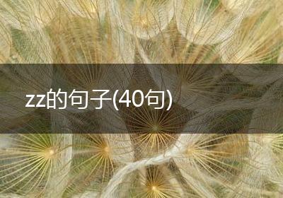 zz的句子(40句)