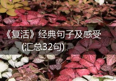 《复活》经典句子及感受(汇总32句)