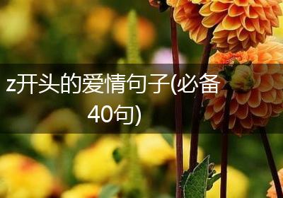 z开头的爱情句子(必备40句)