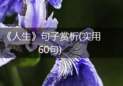《人生》句子赏析(实用60句)