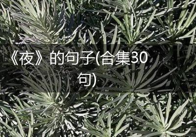 《夜》的句子(合集30句)