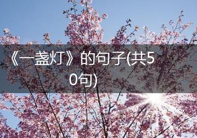 《一盏灯》的句子(共50句)