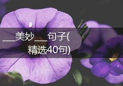 ___美妙___句子(精选40句)