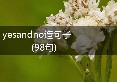 yesandno造句子(98句)
