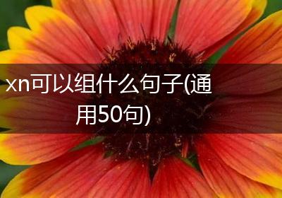 xn可以组什么句子(通用50句)