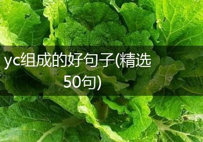 yc组成的好句子(精选50句)