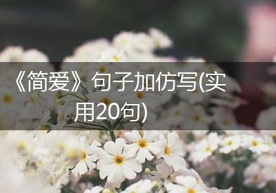 《简爱》句子加仿写(实用20句)
