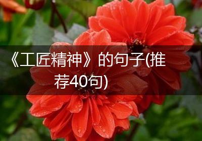 《工匠精神》的句子(推荐40句)