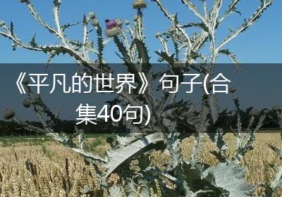 《平凡的世界》句子(合集40句)