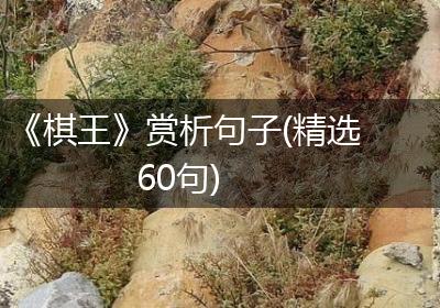《棋王》赏析句子(精选60句)