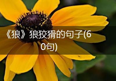 《狼》狼狡猾的句子(60句)