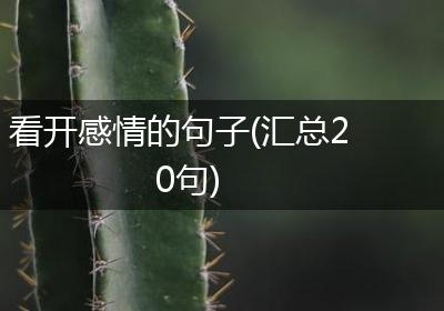 看开感情的句子(汇总20句)