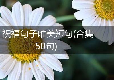 祝福句子唯美短句(合集50句)