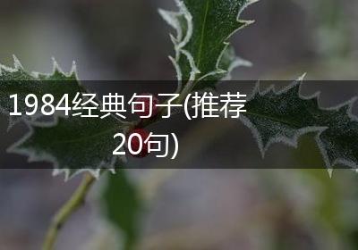 1984经典句子(推荐20句)