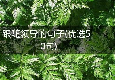 跟随领导的句子(优选50句)