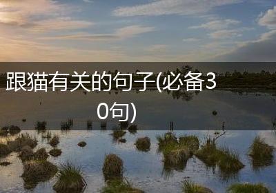 跟猫有关的句子(必备30句)